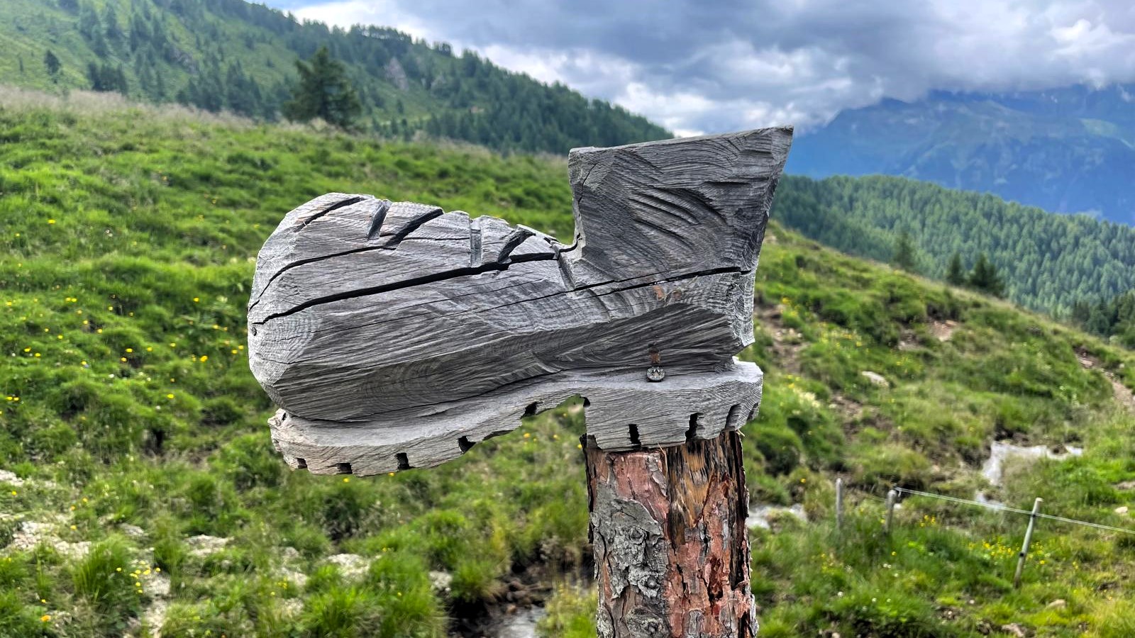 Bergschuh Alpenüberquerung