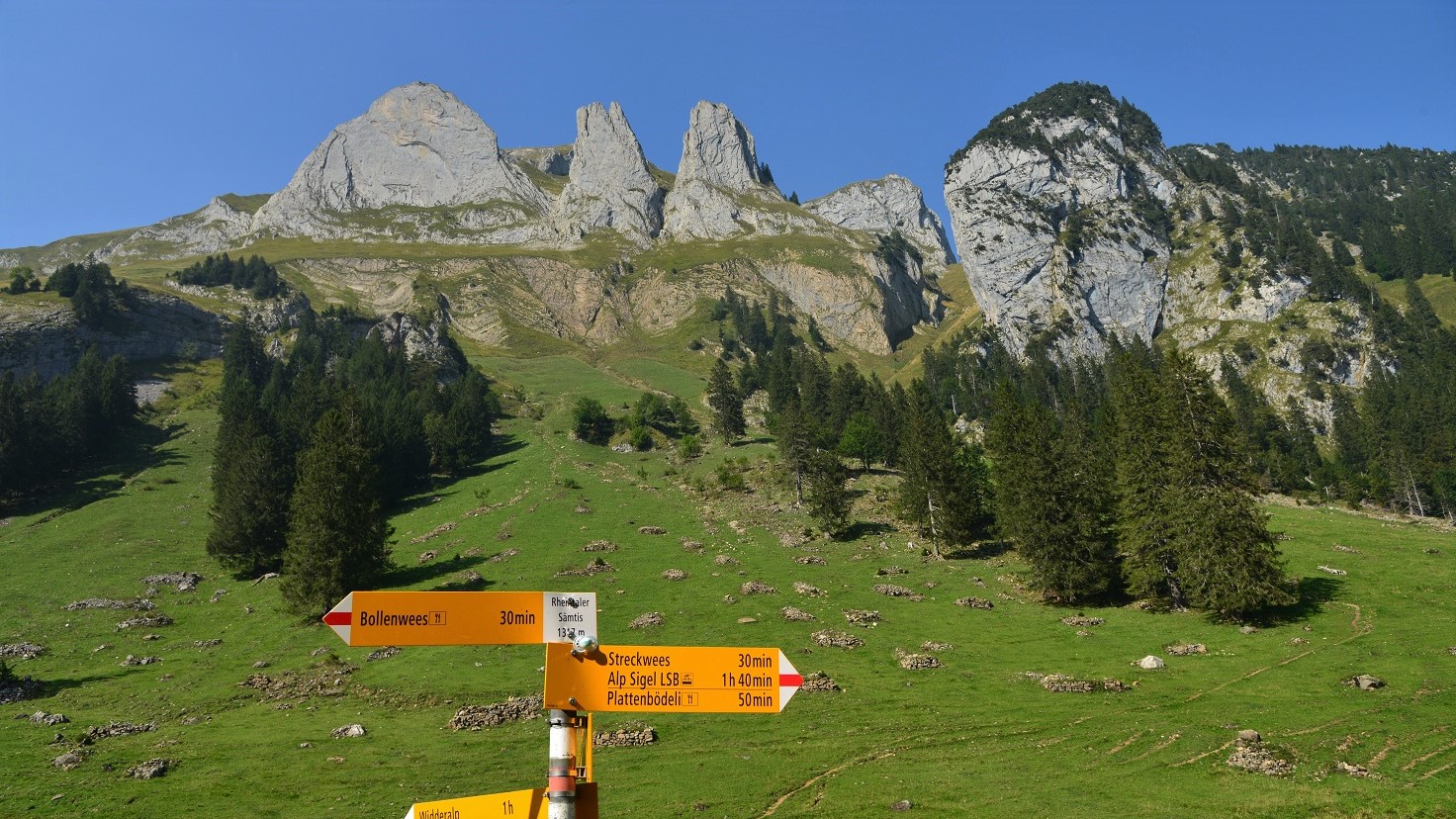 Wegweiser