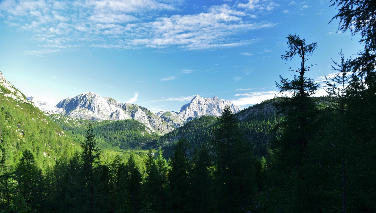 Blick Richtung Watzmann