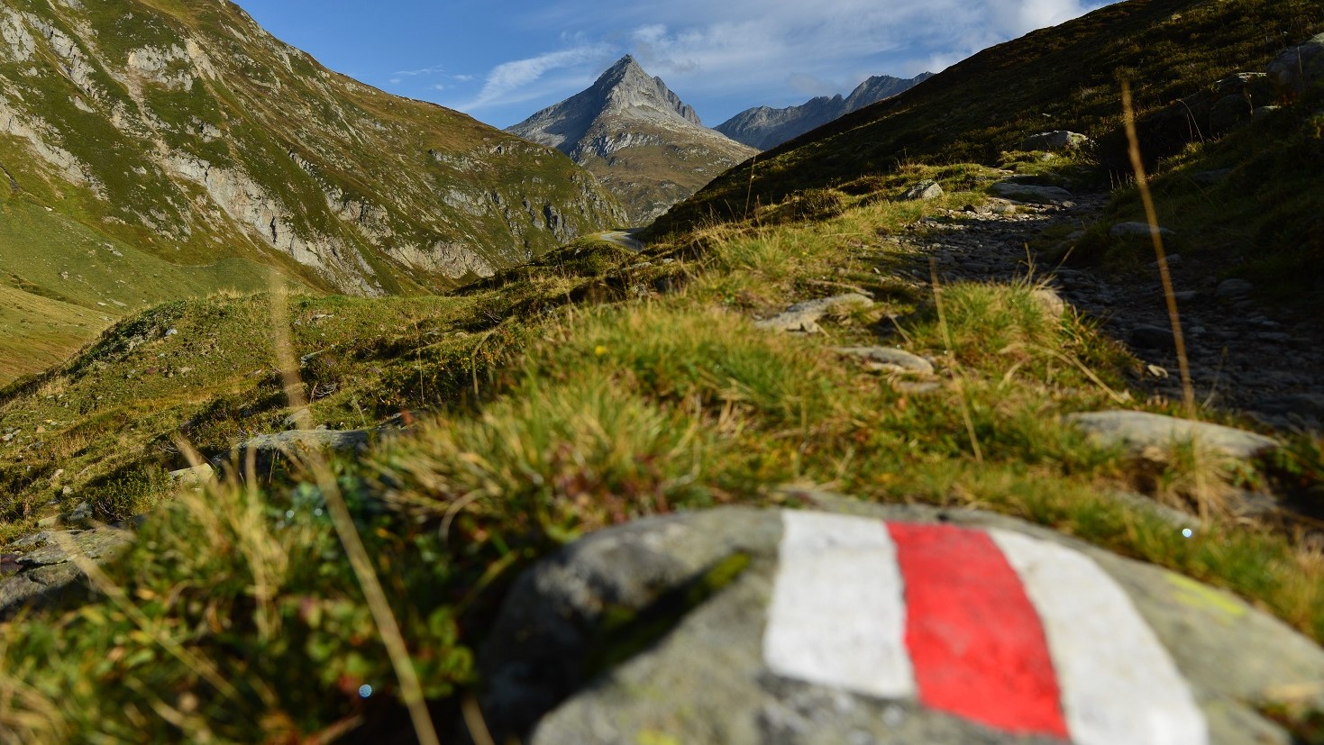 In der Nähe der Rheinquelle