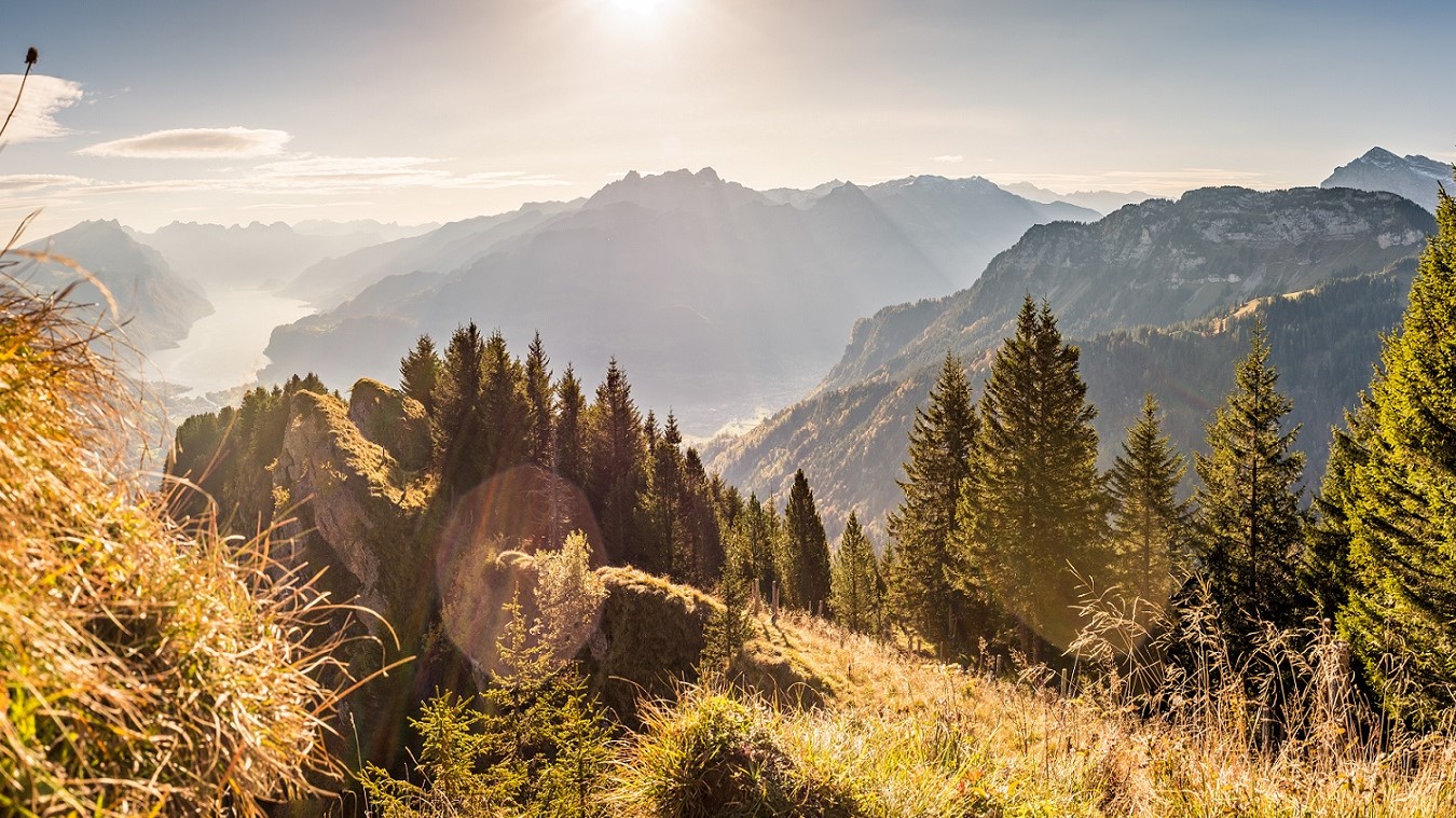 Blick zum Walensee
