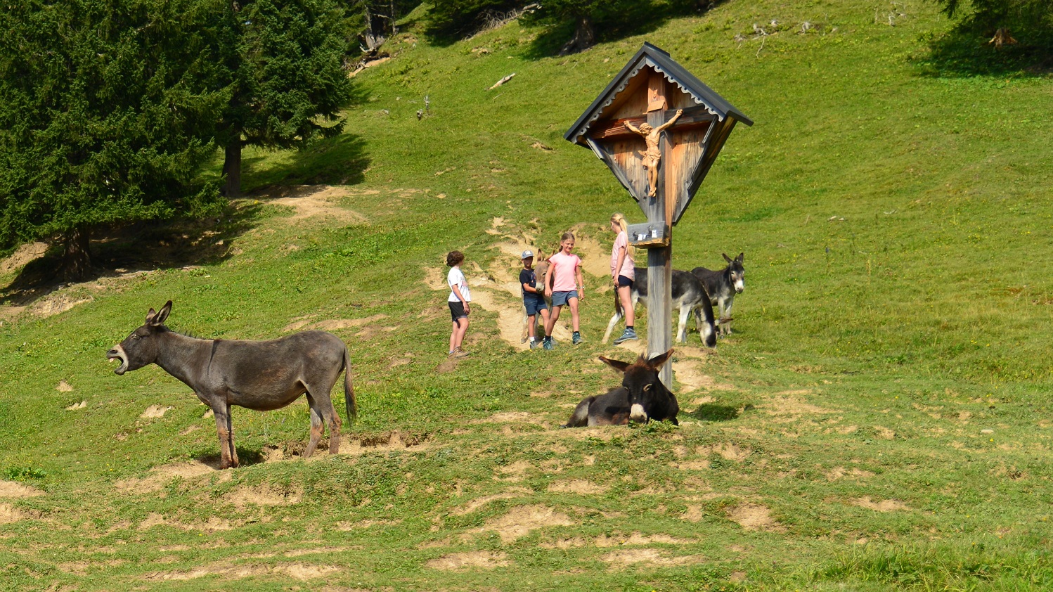 Wandern mit Kinder: Esel