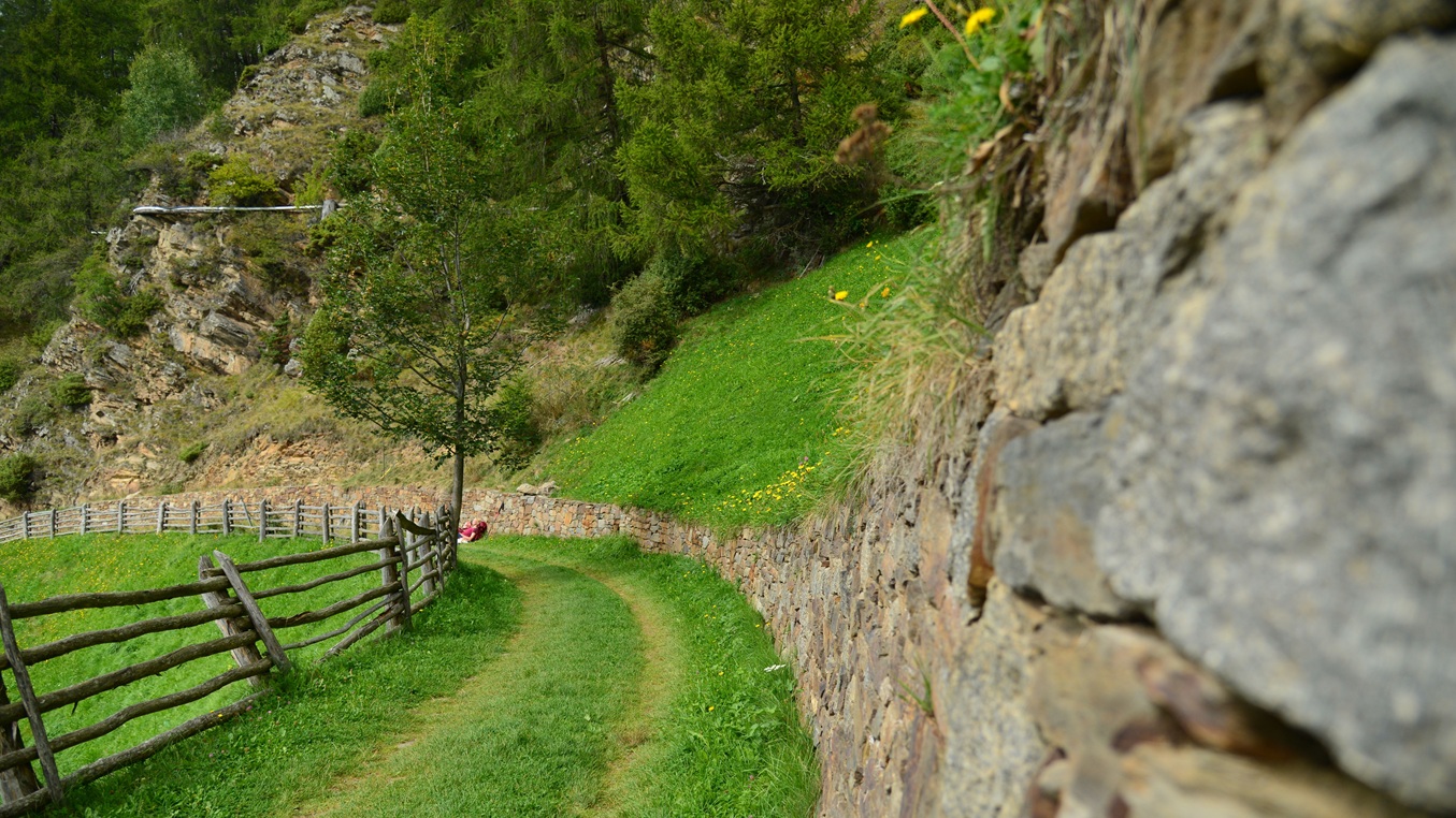 Mera­ner Höhen­weg — Wan­der­ge­nuss pur