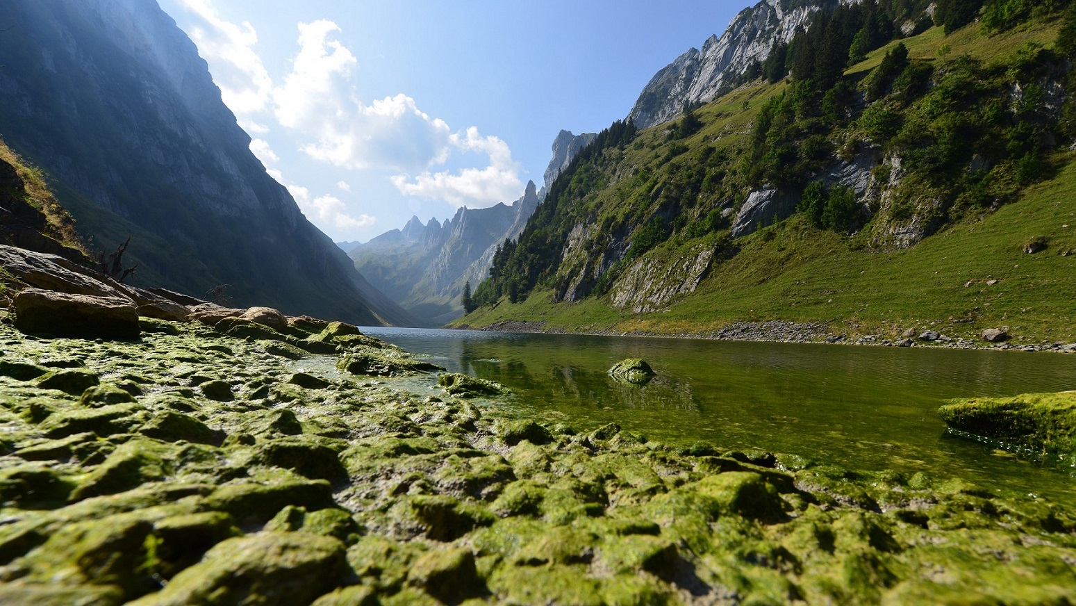 Fälensee
