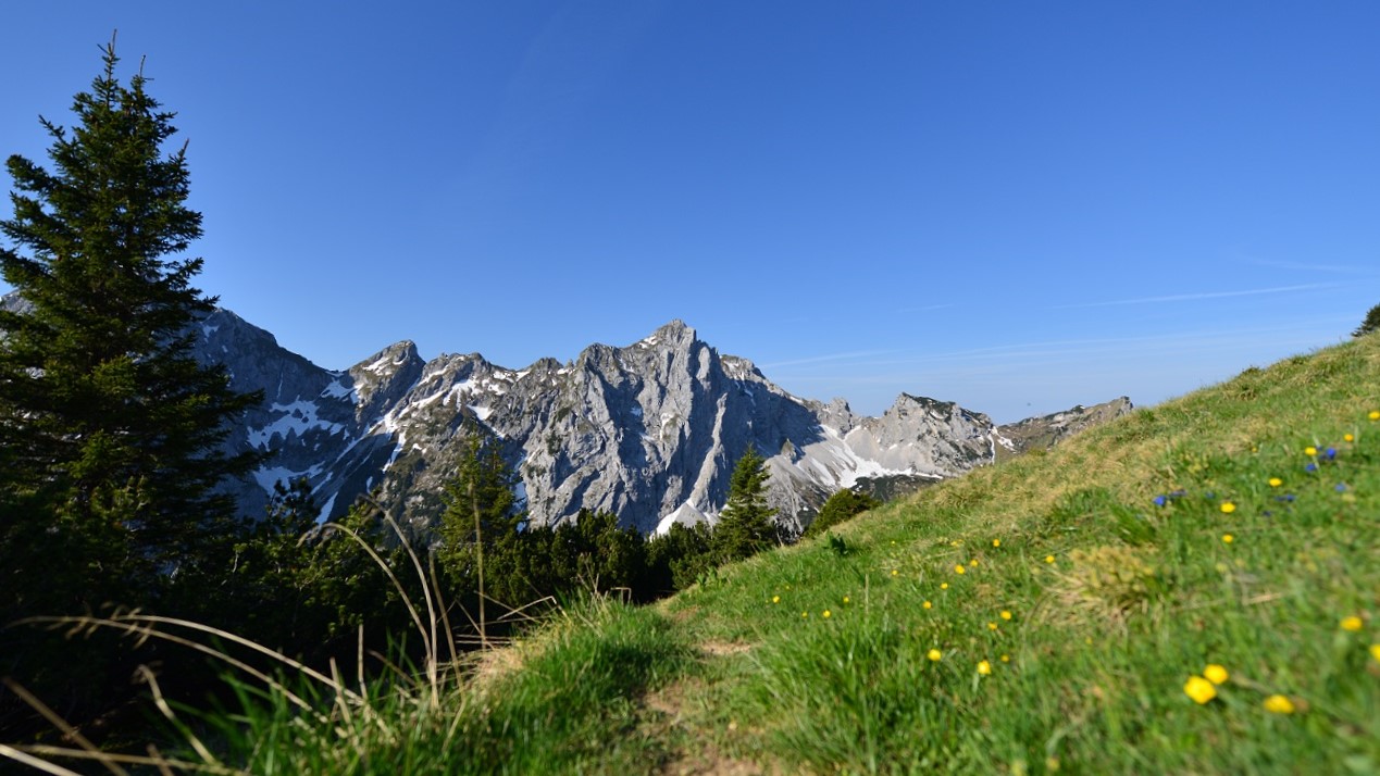 Blick von der Großen Schlicke