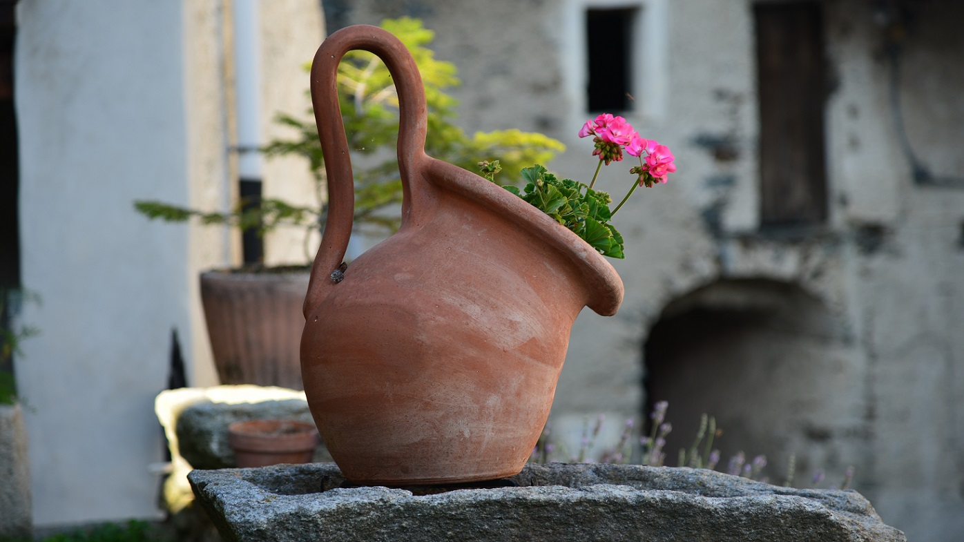 Blumen in Südtirol