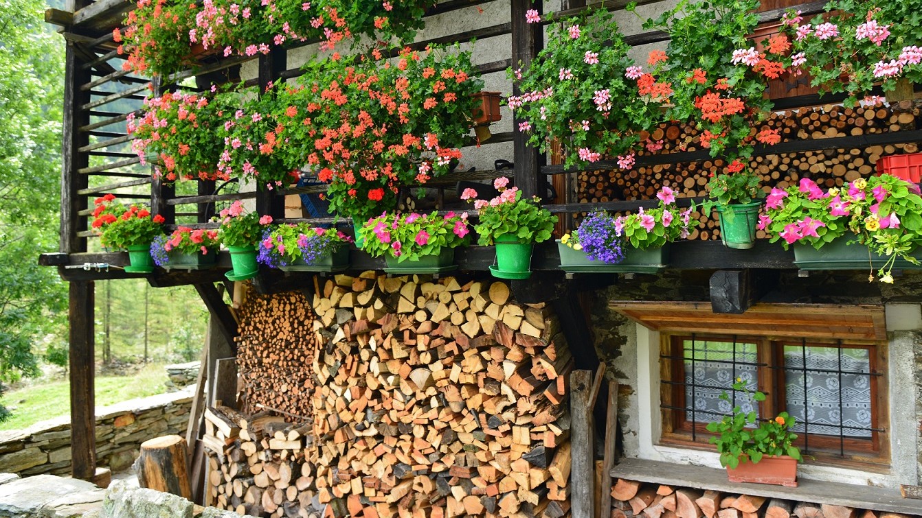 Walserhaus