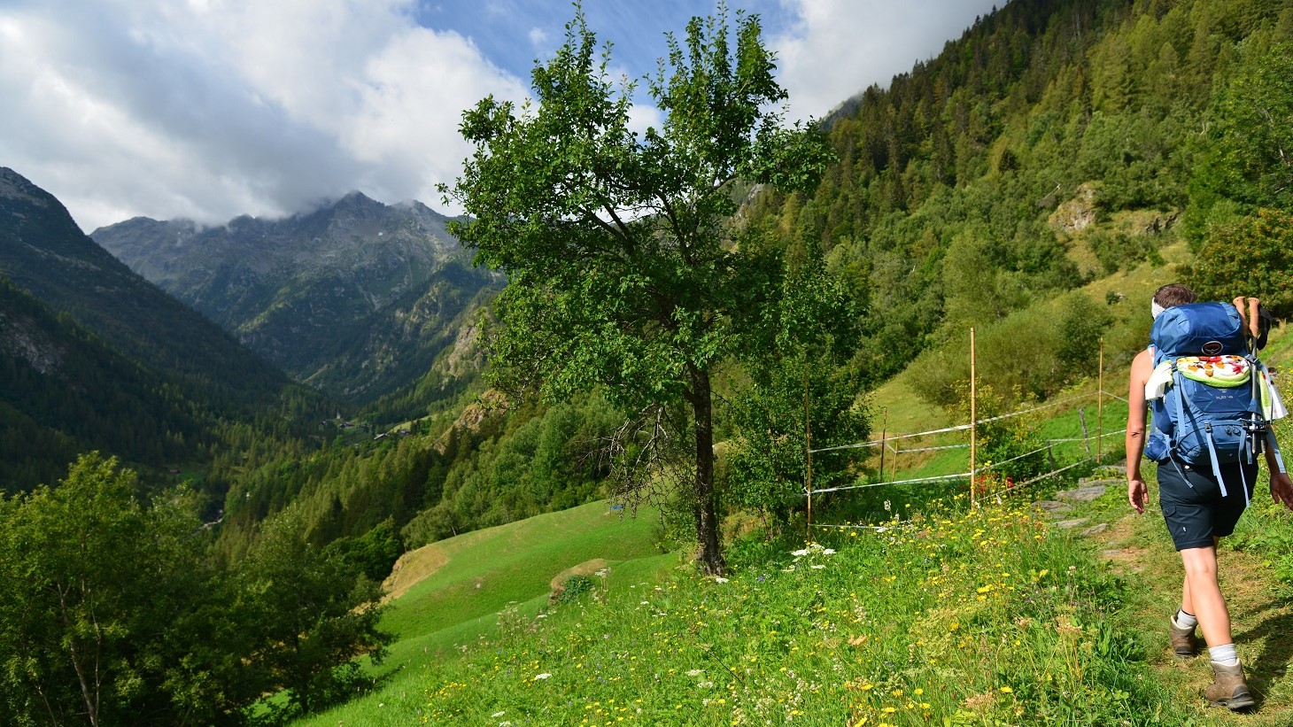 Wals­er­weg IV — Alpen­über­que­rung in 4 Etappen