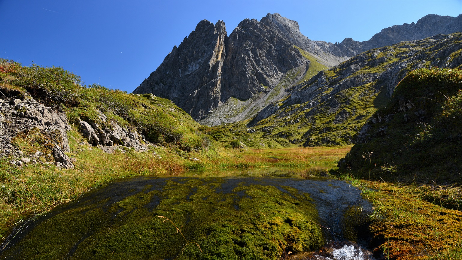 Quellgebiet im Lechtal