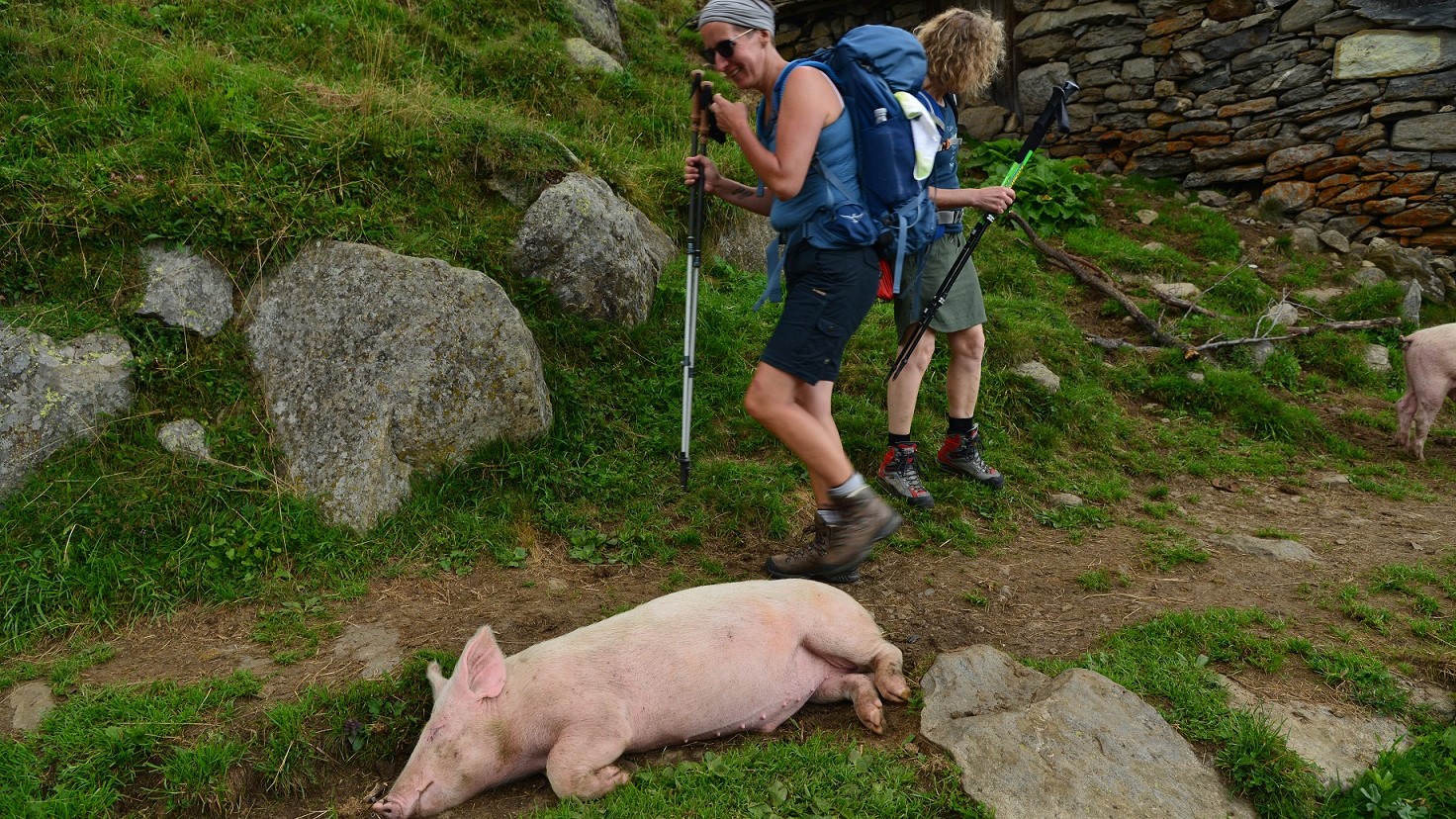 Wals­er­weg IV — Alpen­über­que­rung in 4 Etappen