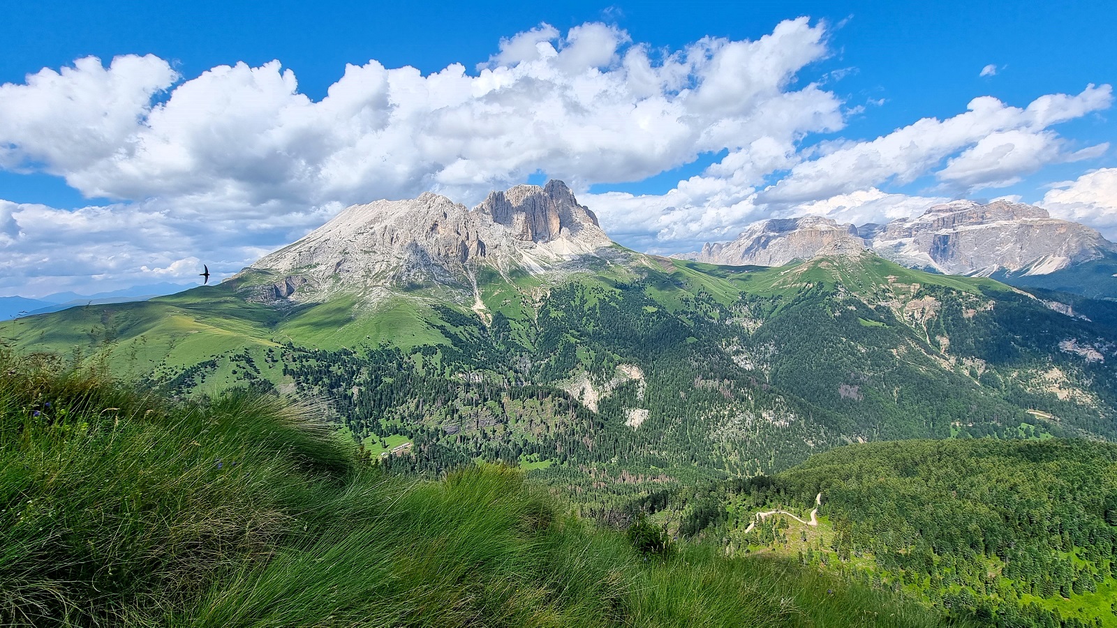 Dolomitenhöhenweg 8
