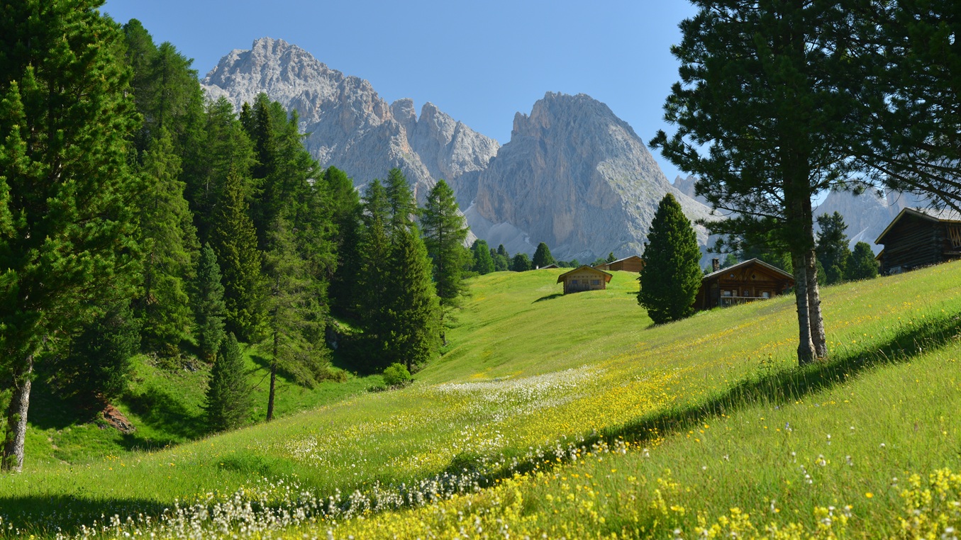 Puez Seceda