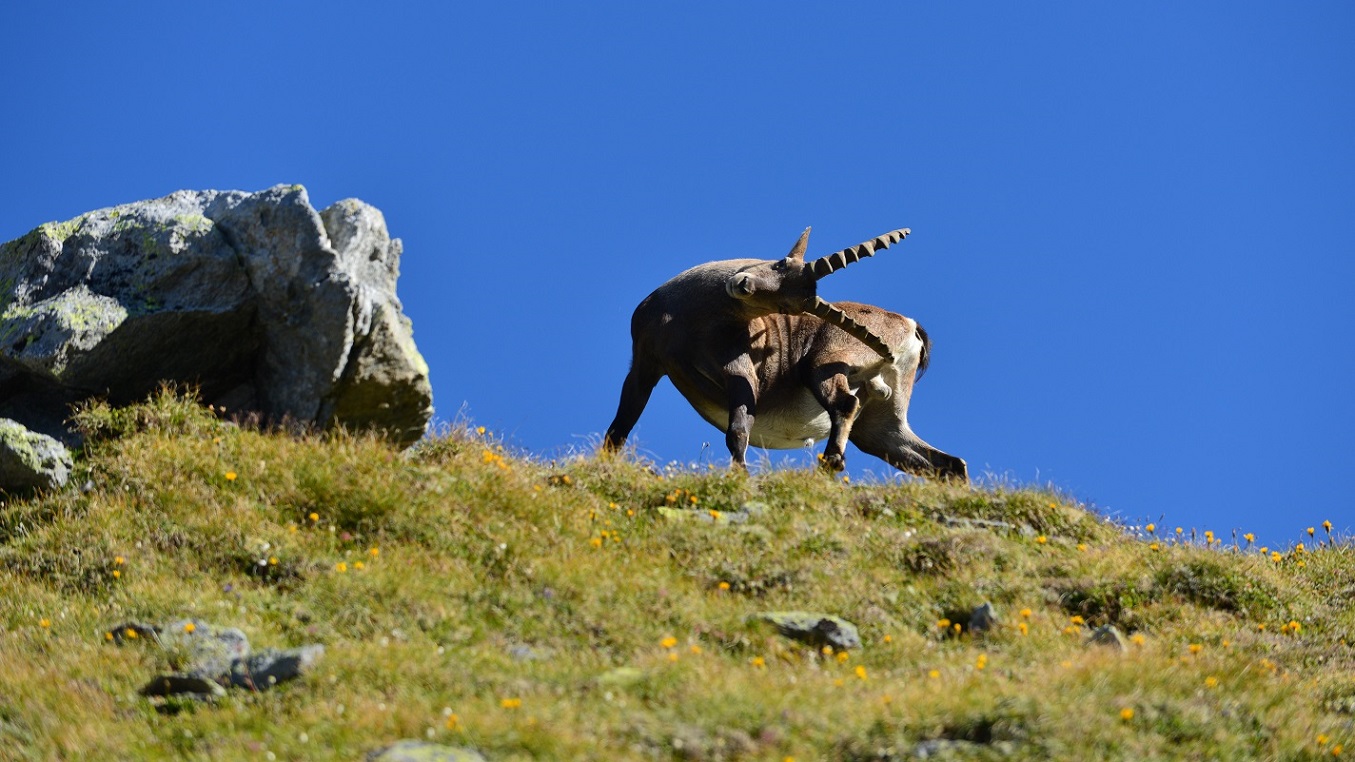 Indi­vi­du­el­le Alpen­über­que­rung von Oberst­dorf nach Meran im Vinschgau