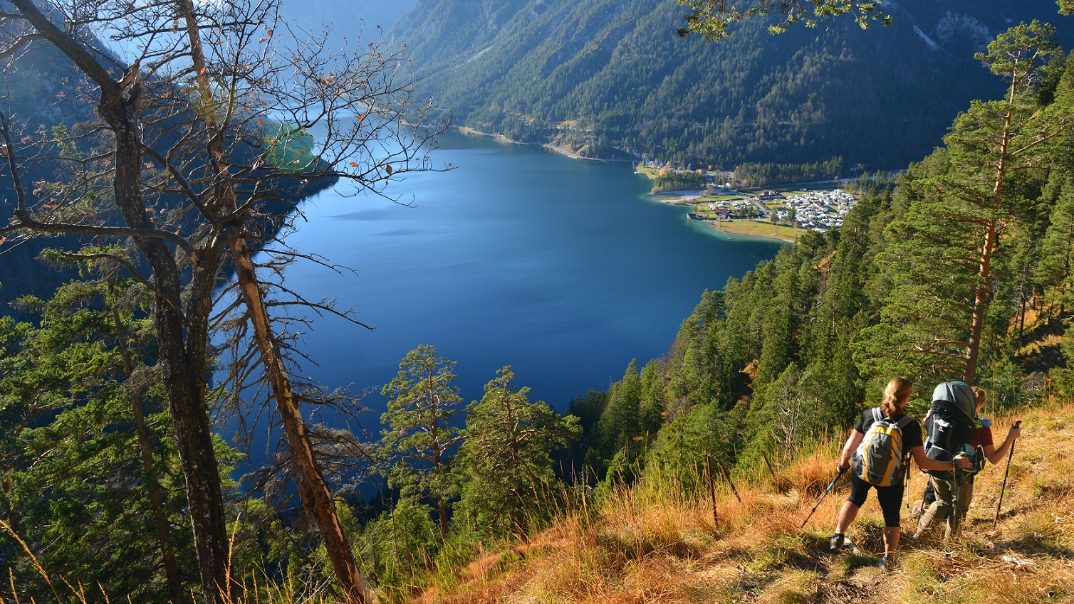 Plansee