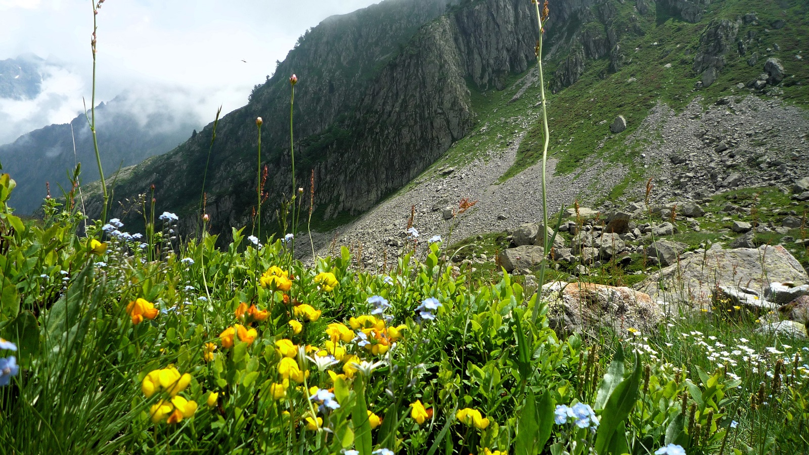 Blumen