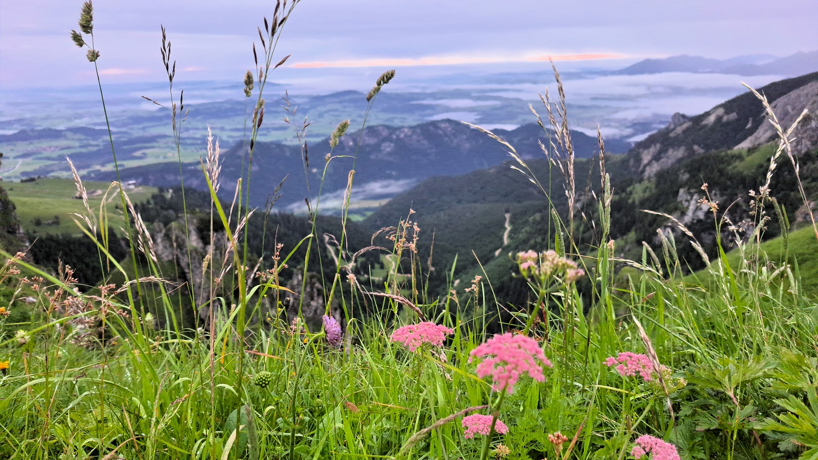 Blick Richtung Ostallgäu am Morgen