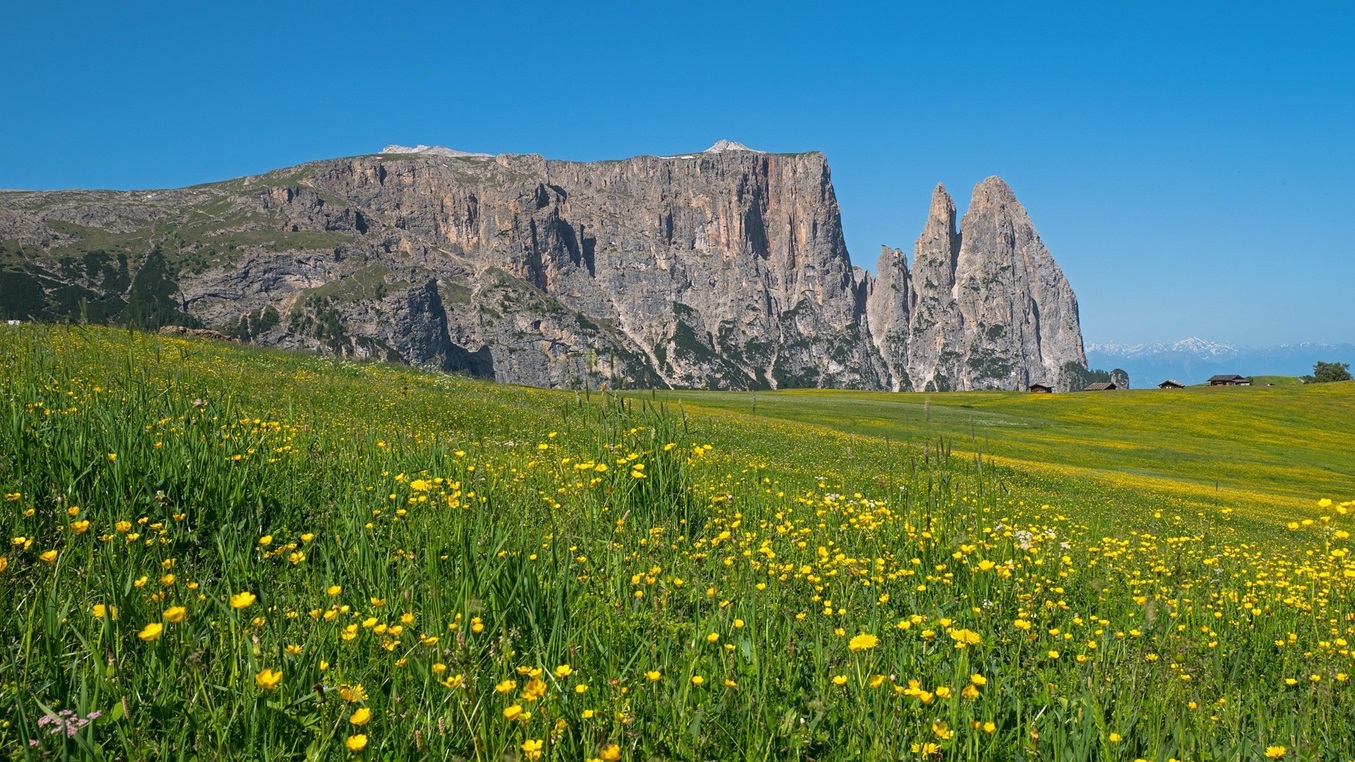 Schlern