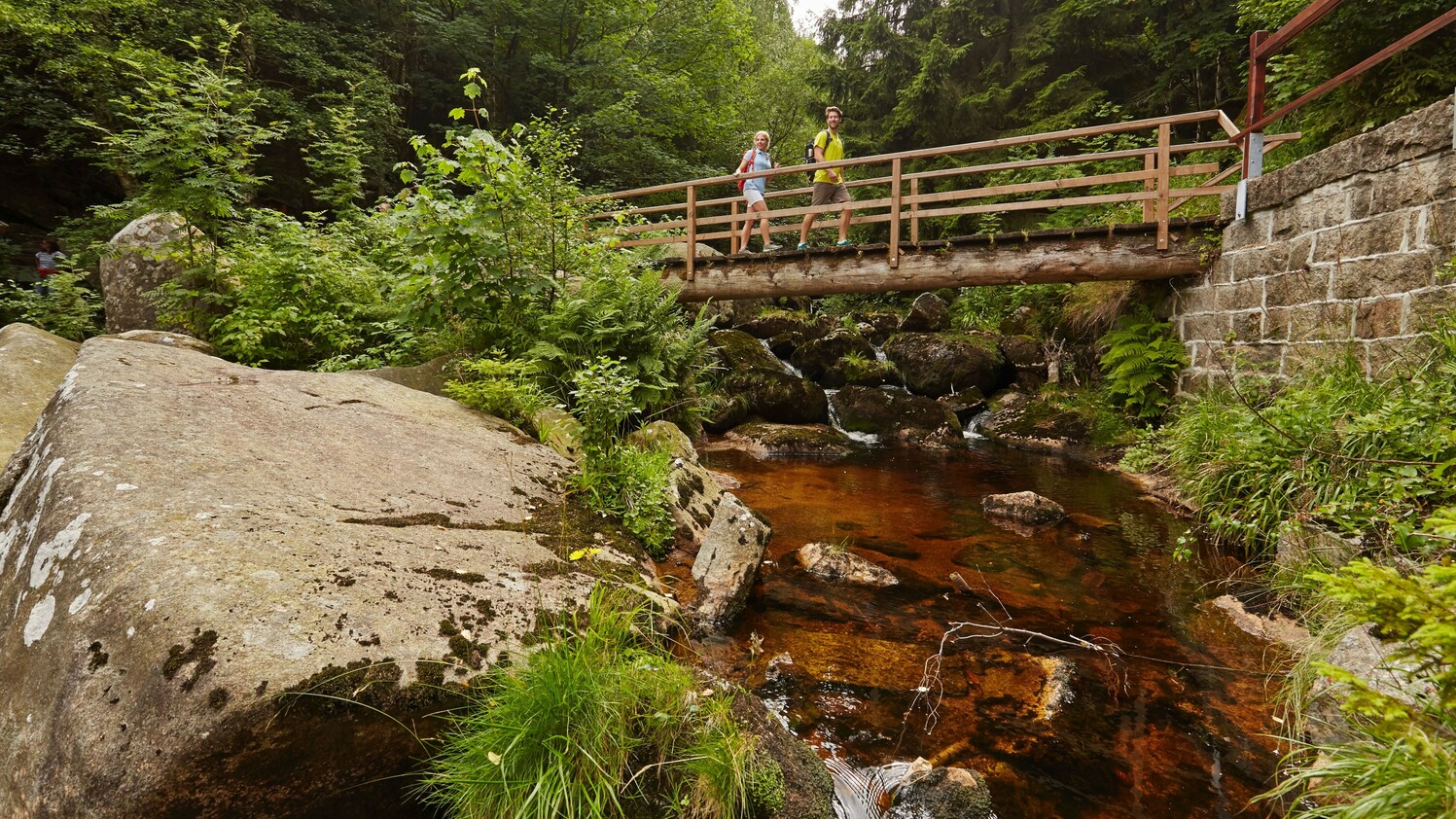 Luxu­riö­se Vor­be­rei­tungs­tour Alpen­über­que­rung inkl. Sicher­heits­trai­ning im Harz