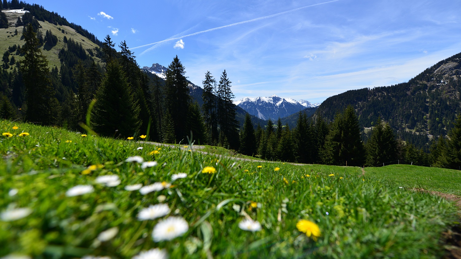 Blick ins Lechtal