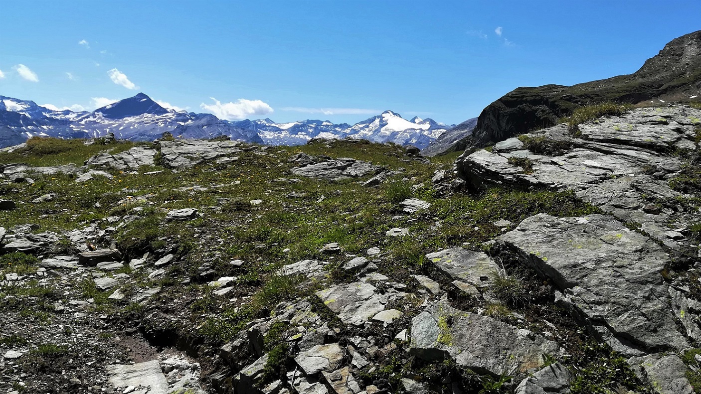 Wals­er­weg II — Alpen­über­que­rung in 4 Etappen