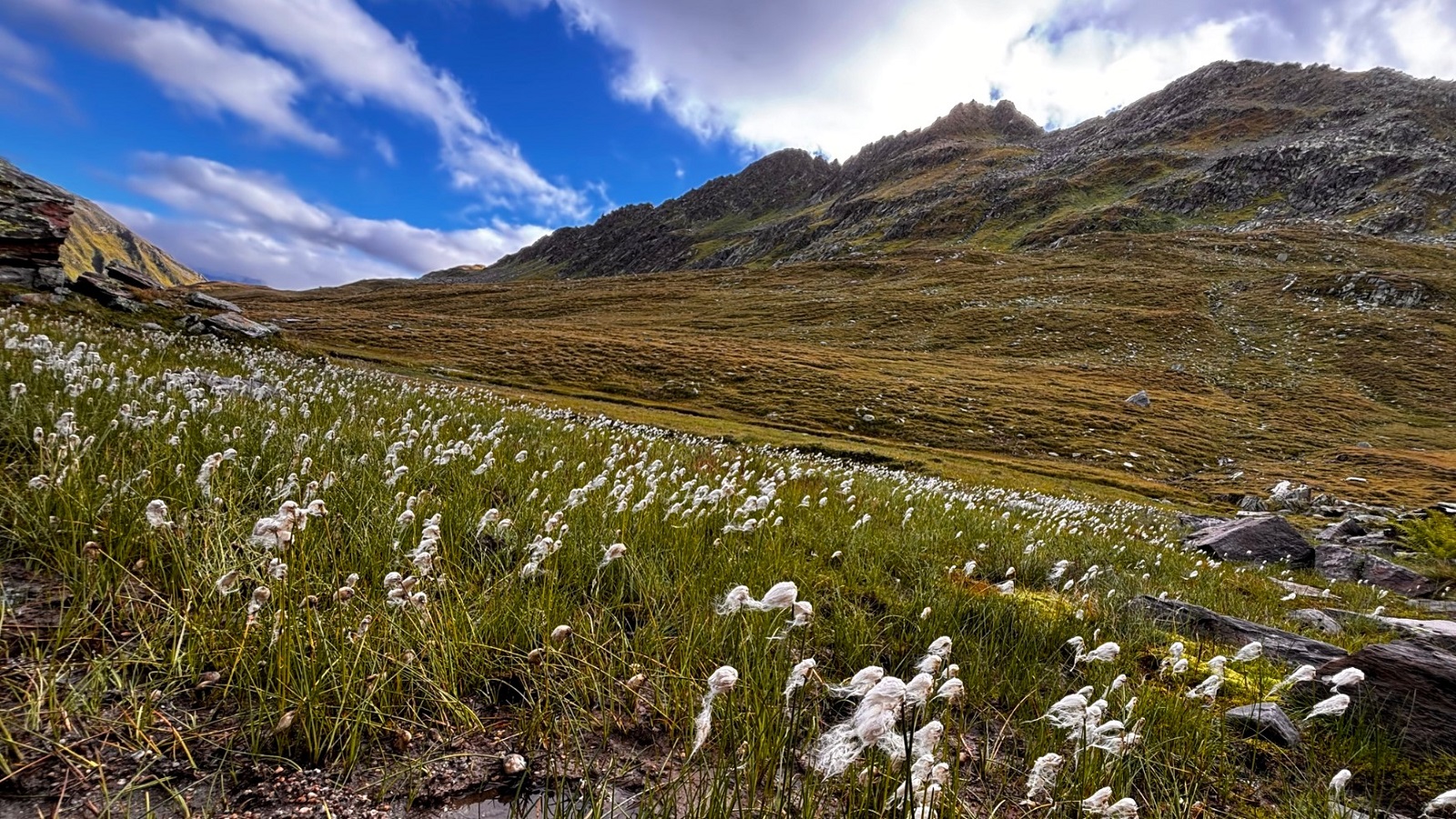 Schweizer Alpenüberquerung