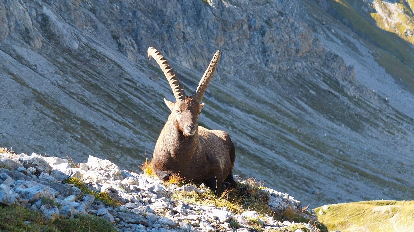 Indi­vi­du­el­le Alpen­über­que­rung von Oberst­dorf nach Meran im Vinschgau