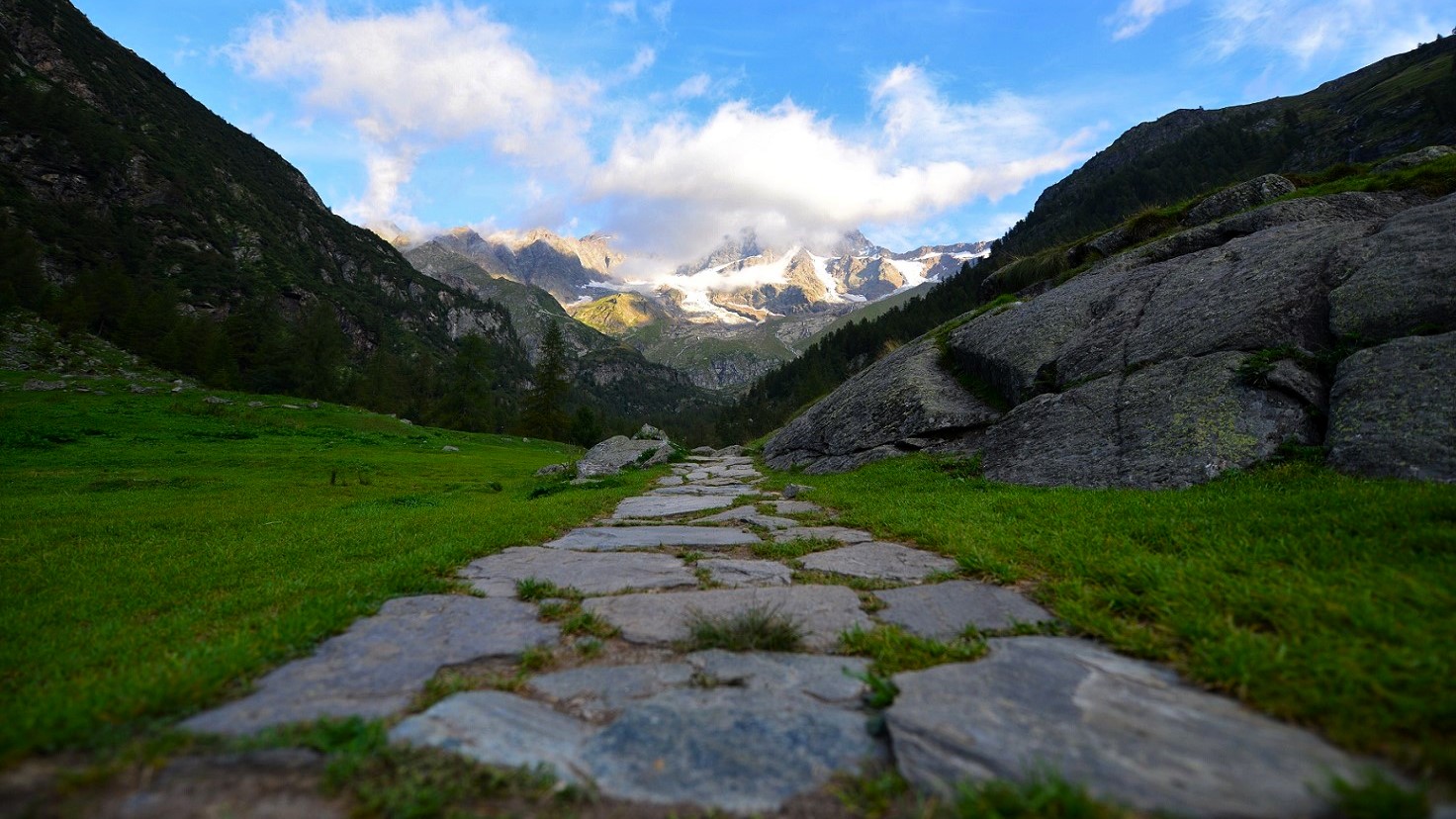 Tour de Monte Rosa Matterhorn