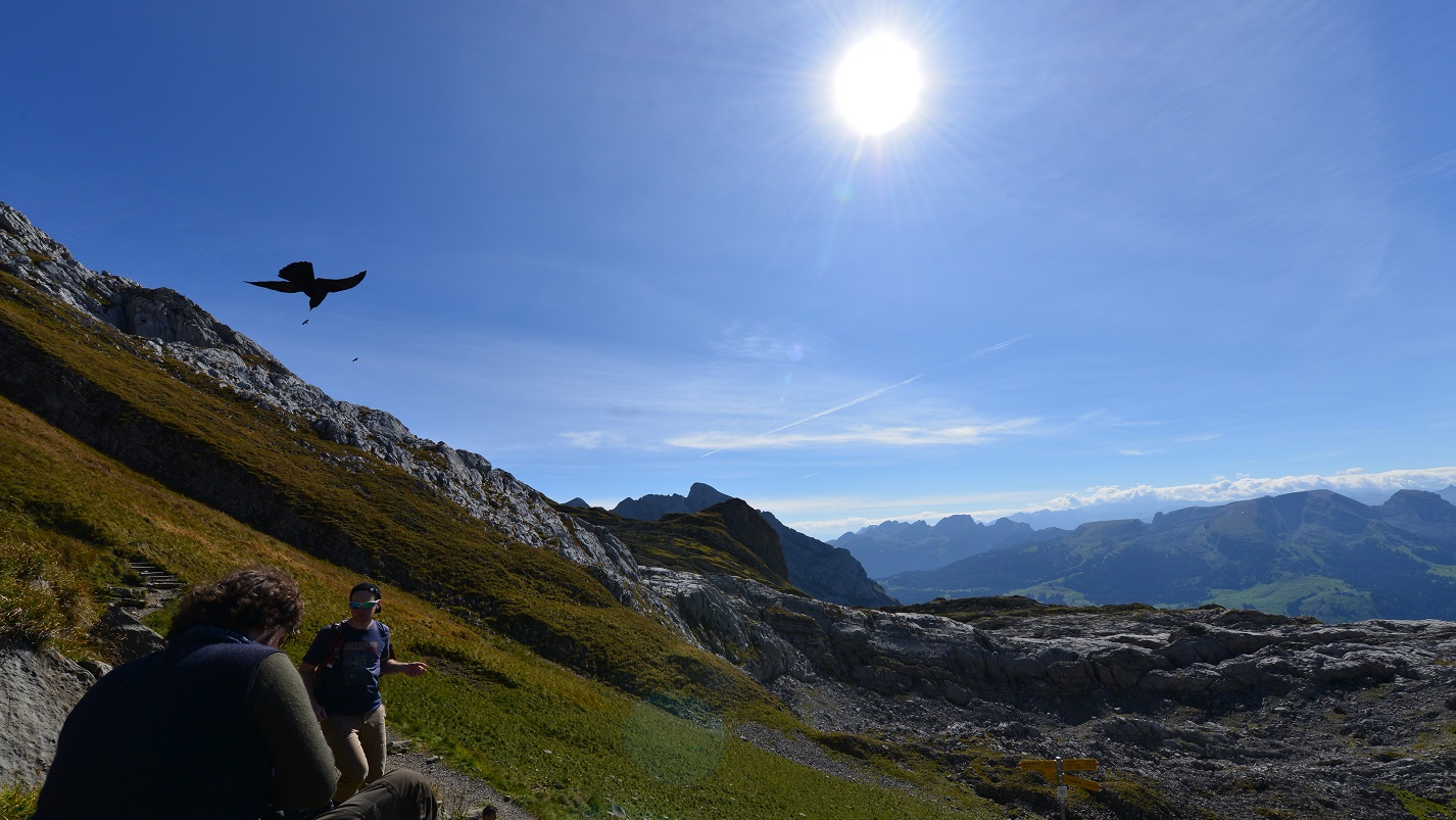 Nähe Berggasthaus Tierwies