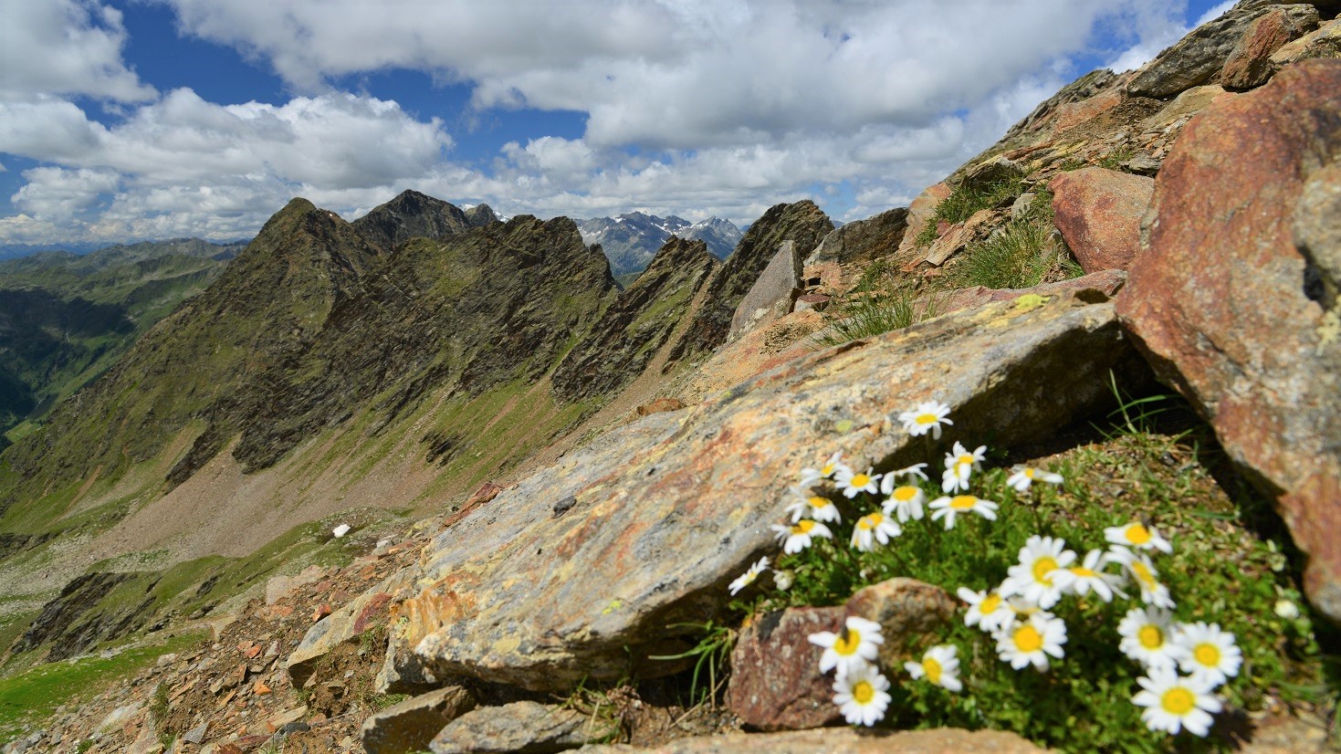 Scharfer Gipfelgrat