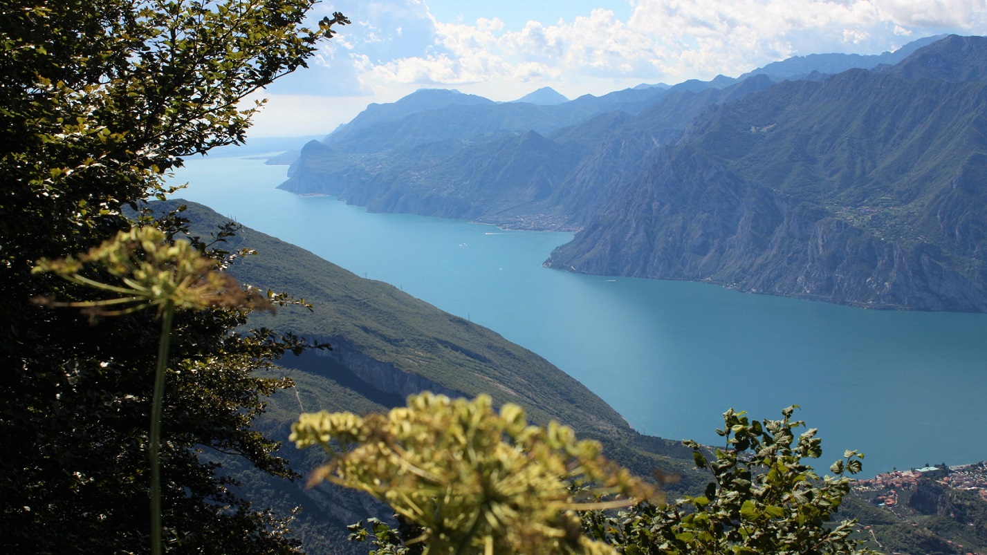 Gardasee