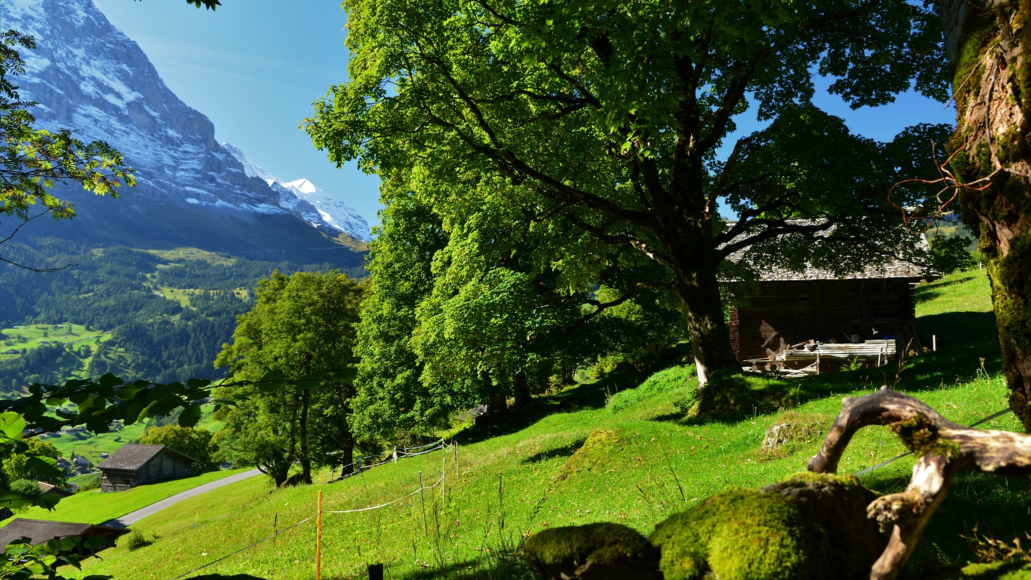 Eiger Nordwand und Jungfrau im Hintergrund