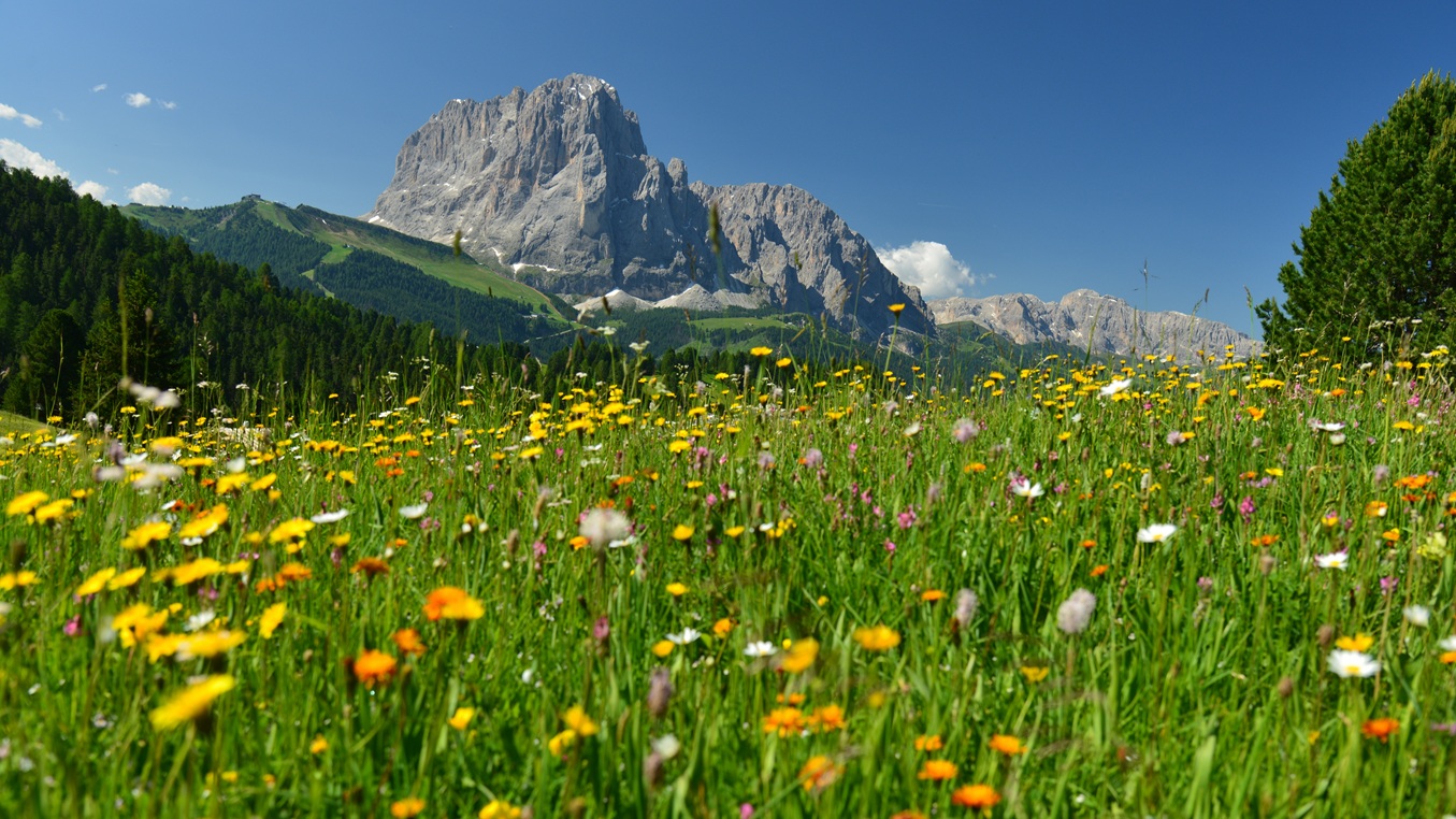 Lang und Plattkofel