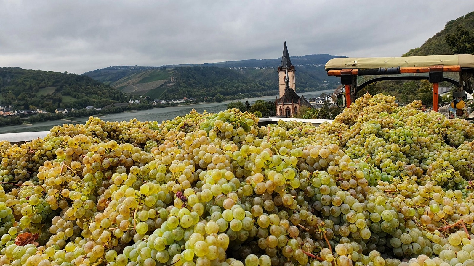 Volle Ladung - Weingut Rössler