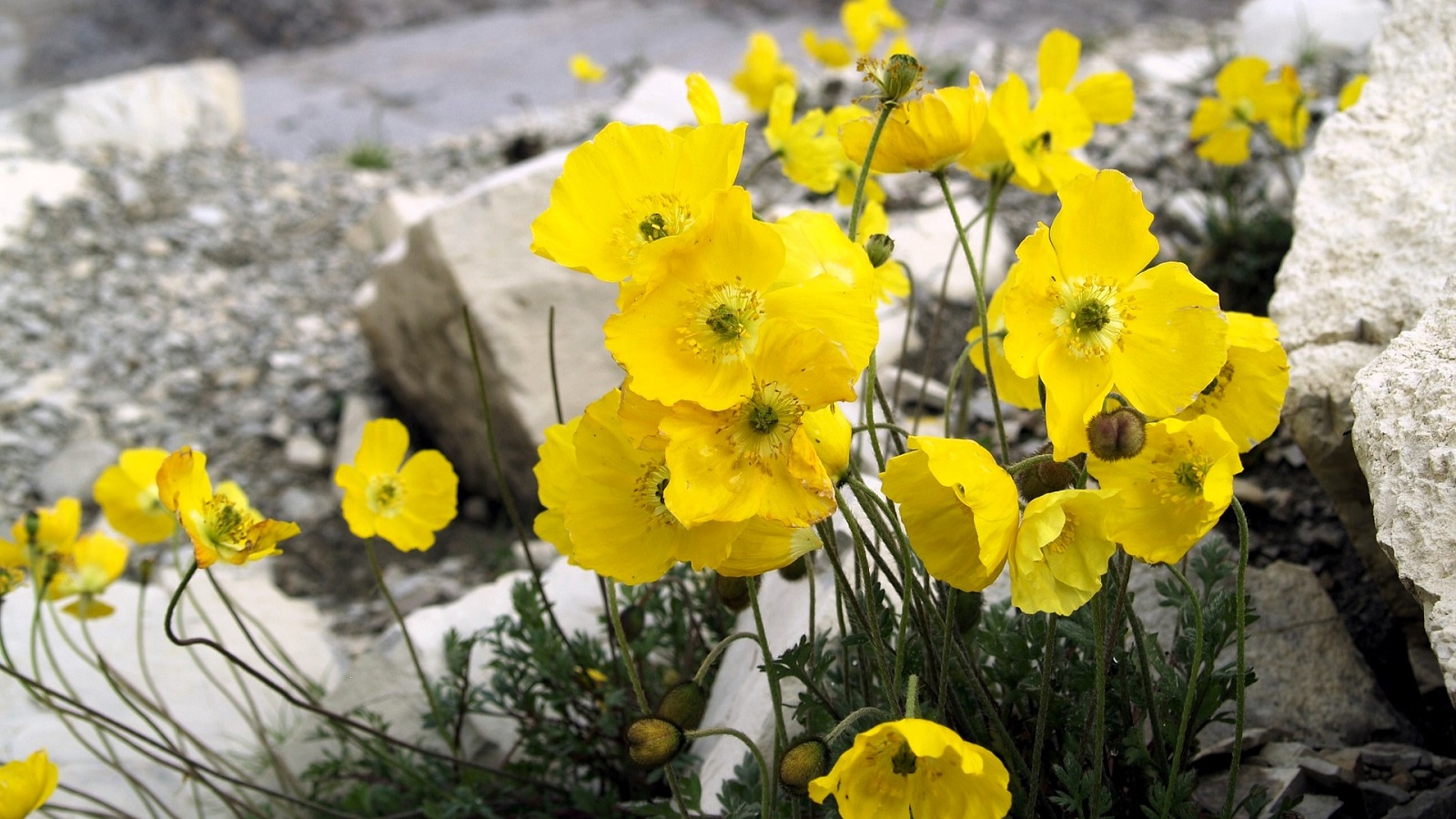 Wan­dern im Natio­nal­park Hohe Tauern