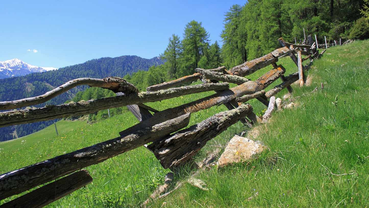 Alpenüberquerung bis ins Vinschgau