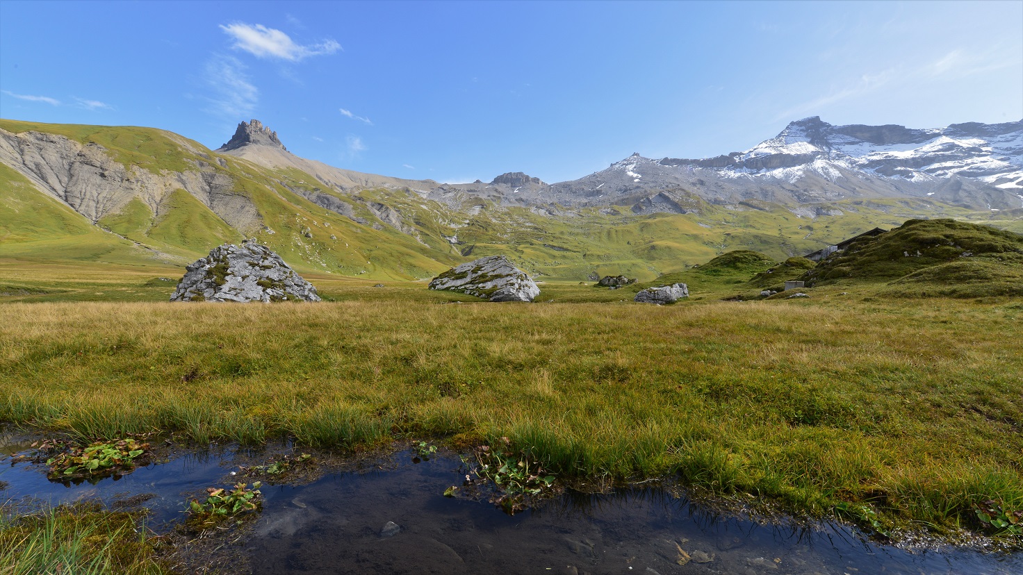 Engstligenalp