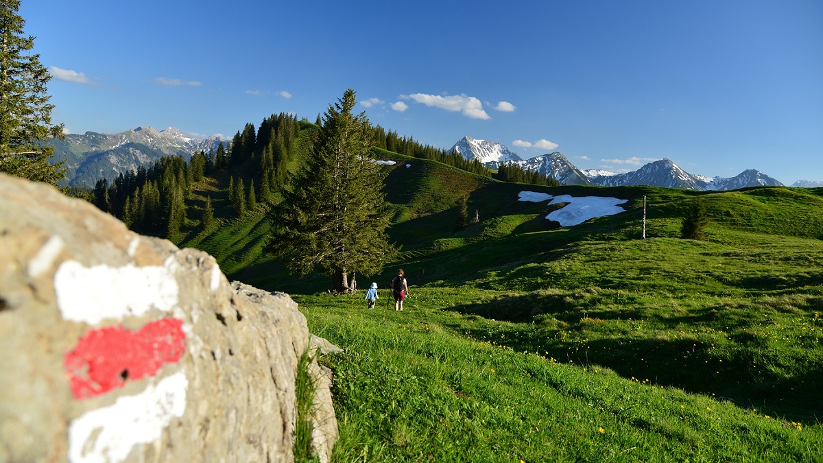 Die schönste Feierabendtour im Allgäu – Unsere Lieblingswanderung für jede Jahreszeit