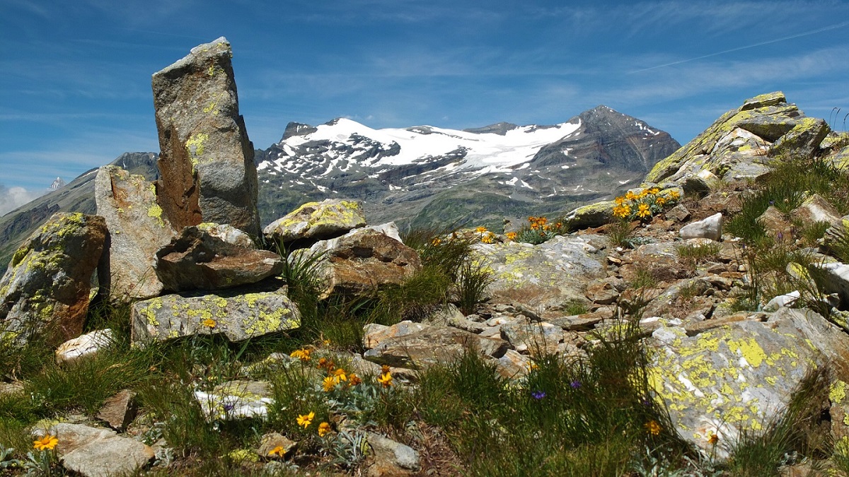Berglandschaft zur Alpenüberquerung