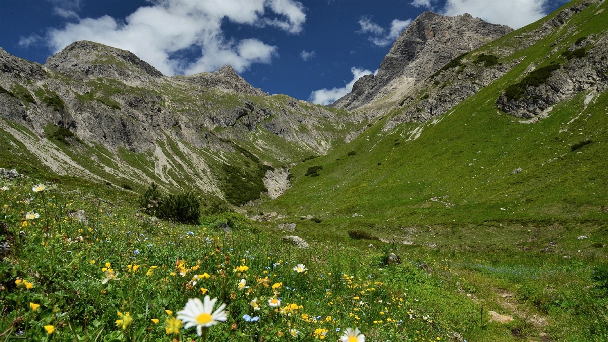 Mit der Sektion Oy/Allgäu des Deutschen Alpenvereins beim Wegebau auf dem E5 zwischen Mädelejoch und Holzgau